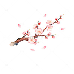 水彩梅花树枝插画