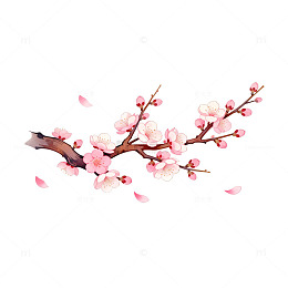 樱花插画春天花卉装饰图案