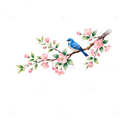 水彩花鸟装饰画