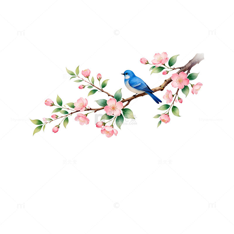水彩花鸟装饰画