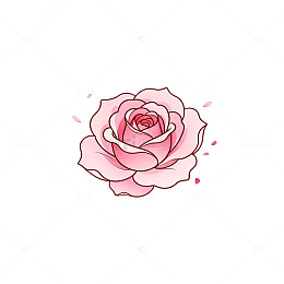 粉色玫瑰手绘插画设计素材