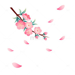 樱花盛开手绘插画