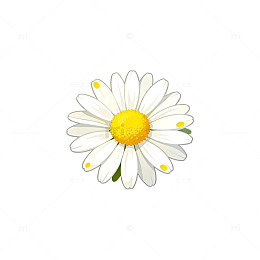 卡通风格雏菊插画设计素材