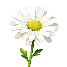 卡通风格菊花插画素材