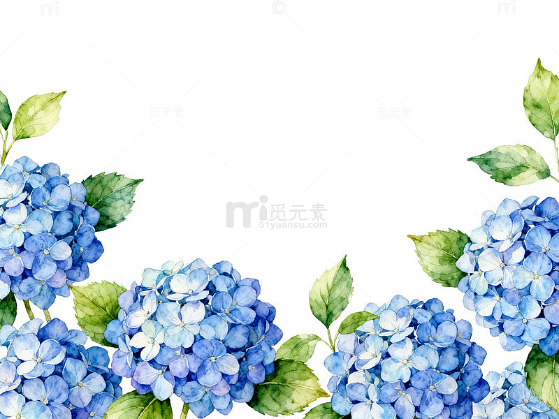 水彩绣球花装饰图案设计