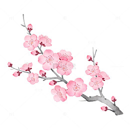 桃花水墨画春天花卉插画素材