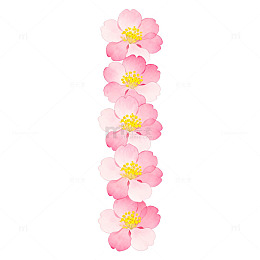 樱花盛开插画素材