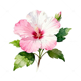 水彩花卉盛开插画素材