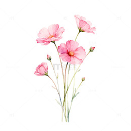水彩花束花卉插画设计素材