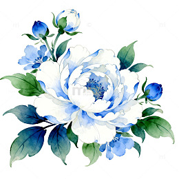 蓝白色调花卉插画设计素材