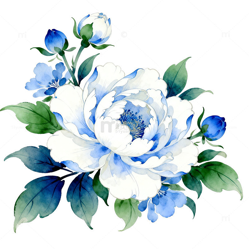 蓝白色调花卉插画设计素材