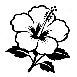 黑白花卉图案