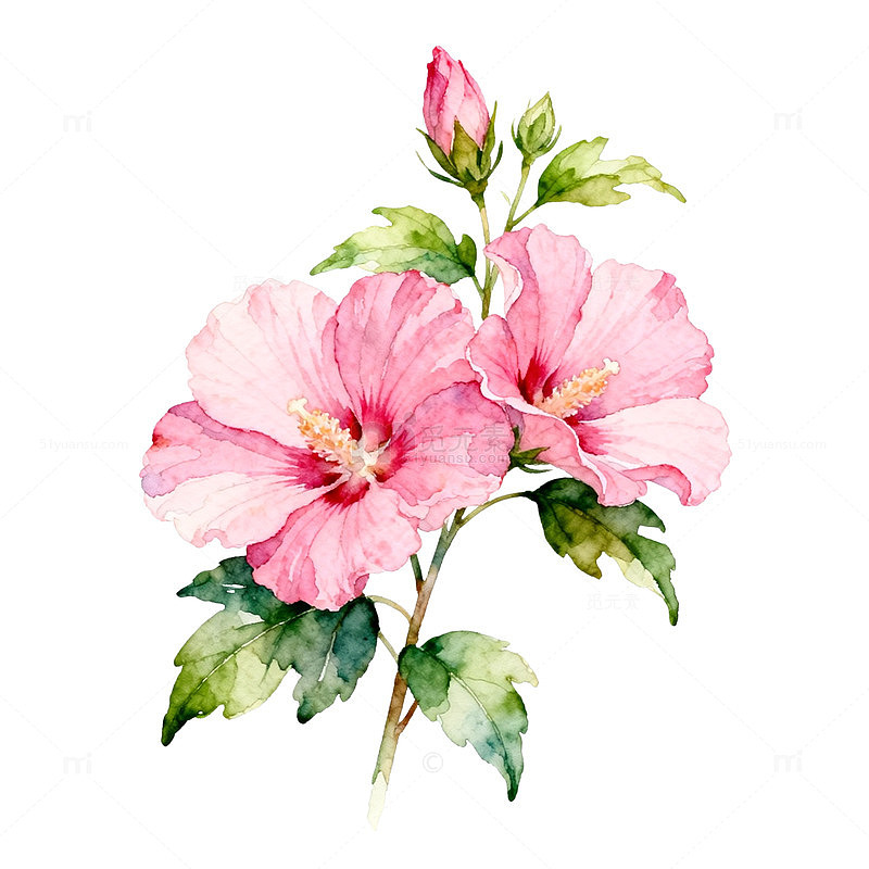 水彩花卉装饰画