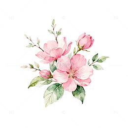 水彩风格粉色花卉插画