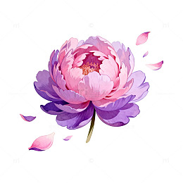 水彩芍药花插画
