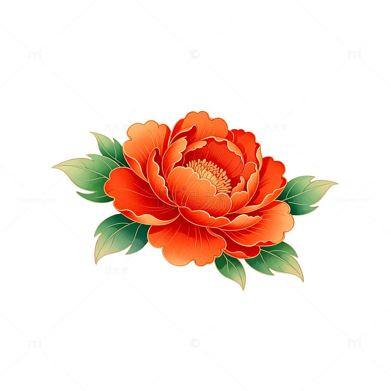 牡丹花卉插画设计元素