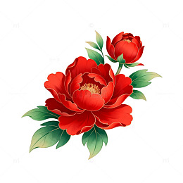 工笔牡丹花卉图案插画