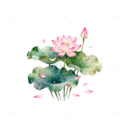 水彩荷花艺术插画