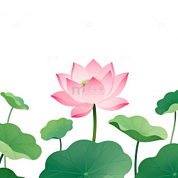 简约荷花矢量图
