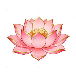 彩绘荷花矢量插画设计素材