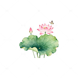 水墨荷花蝴蝶国画