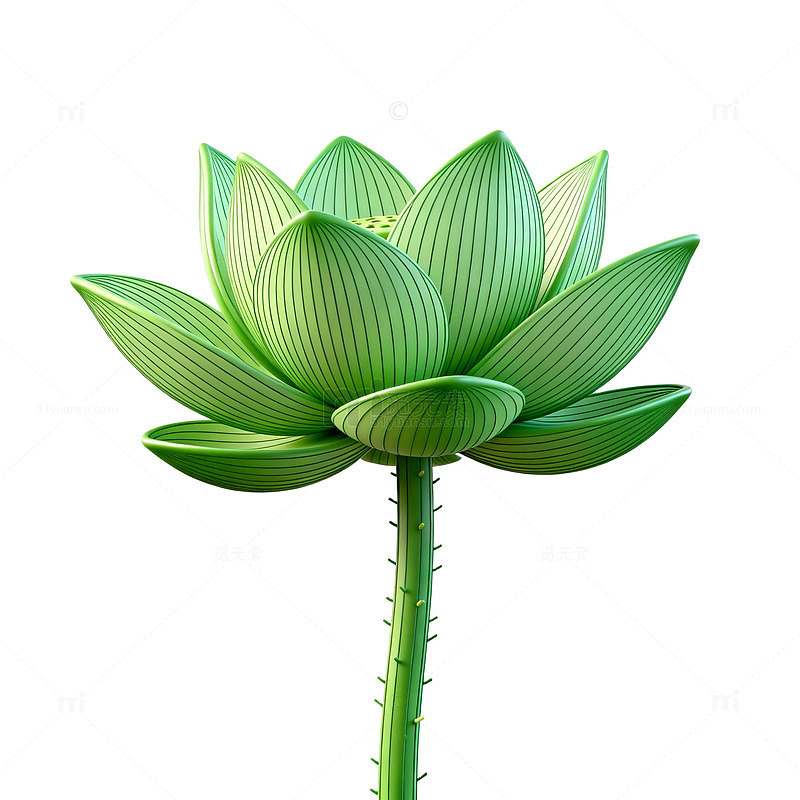 绿色莲花矢量图