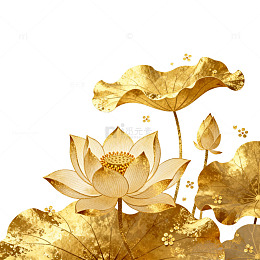 金色莲花装饰画
