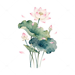水墨荷花手绘装饰画