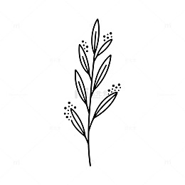 简约黑白植物线条插画