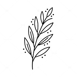简约线条植物插画