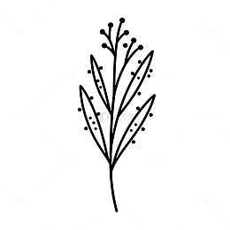 简约植物线条图案装饰元素