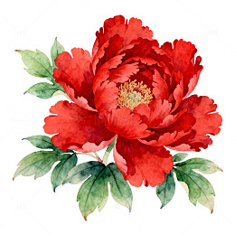 水彩红花牡丹装饰画