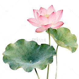水墨风荷花水彩画装饰画素材