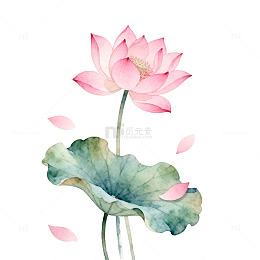 水彩荷花艺术插画设计元素
