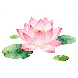 水彩荷花装饰画素材