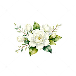 水彩花卉装饰图案设计素材