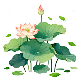 水彩荷花插画设计素材