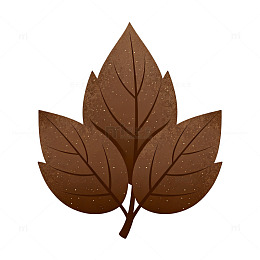 简约风棕色树叶图案设计素材
