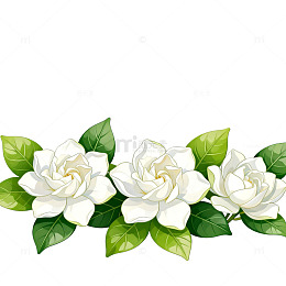 插画风格栀子花装饰图案