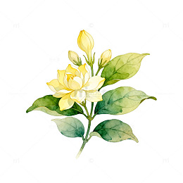 水彩黄玫瑰插画设计素材