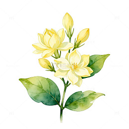 水彩风格黄色花卉插画素材