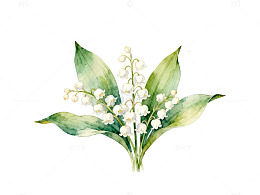 水彩百合花插画设计元素