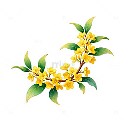 桂花插画设计素材