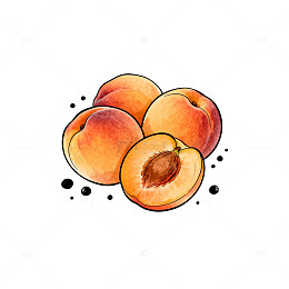 水彩桃子水果插画设计素材