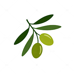 简洁橄榄图标矢量素材