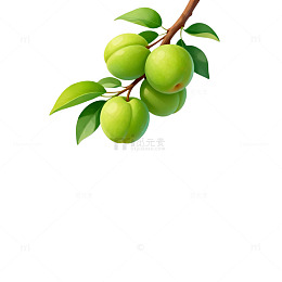 清新插画青梅枝条矢量素材