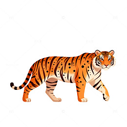 透明背景老虎插画矢量素材