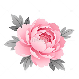 牡丹插画艺术装饰图案