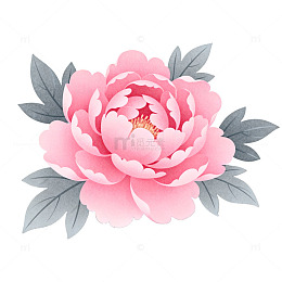牡丹花卉插图设计素材