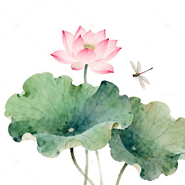 水墨荷花蜻蜓国画艺术